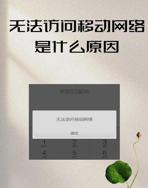 手机wifi信号强但不可上网