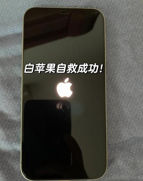 苹果内存满了白苹果了