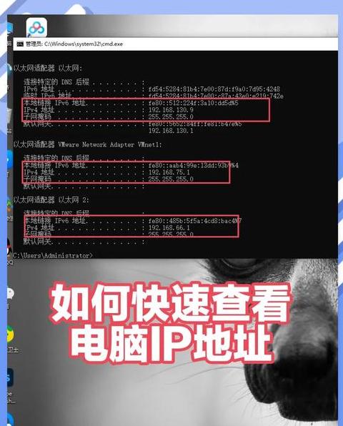 电脑查ip命令